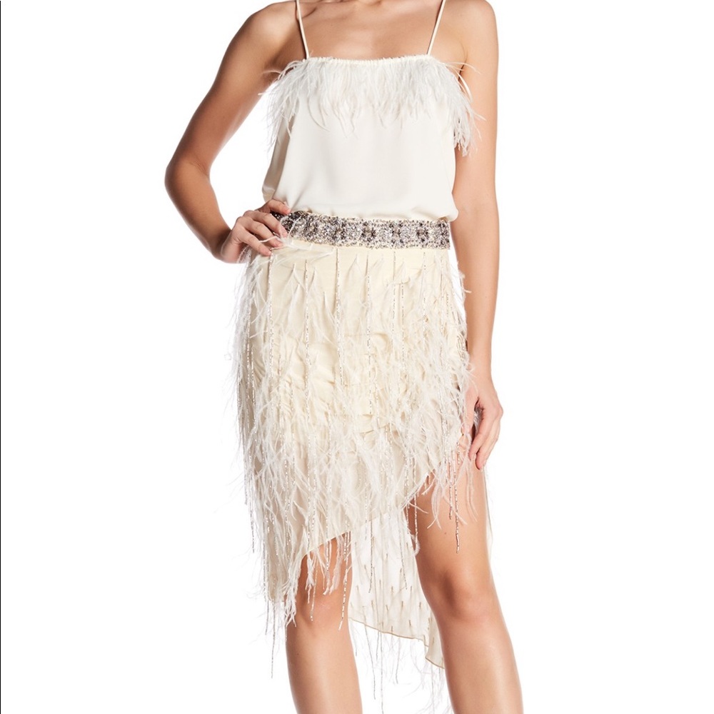 Asymmetrical Embellished Feather Skirt
